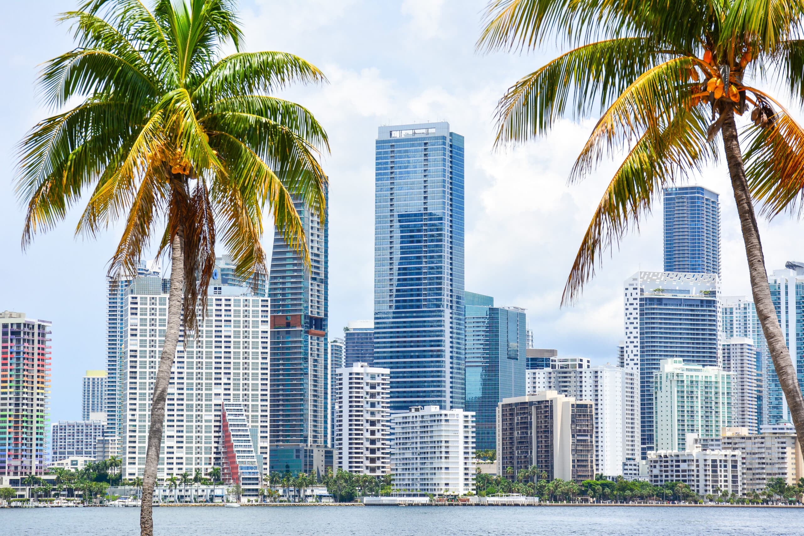 High rises crowd the downtown Miami skyline along waterfront seen through palm tress in South Florida, United States